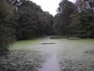 Космачів з panoramio.com