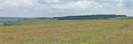 Русько-Орлівка з panoramio.com - Русско-Орловка