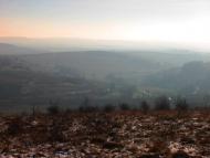 Лопушня з panoramio.com