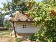 Моринці з panoramio.com