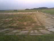 Черняки з panoramio.com