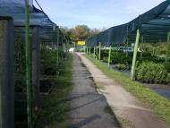 Щасливе з panoramio.com