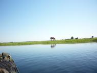 Березичі з panoramio.com