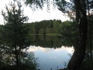 Піски-Річицькі з panoramio.com