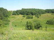 Писарівка з panoramio.com