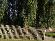 Максимівка з panoramio.com