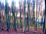 Демня з panoramio.com