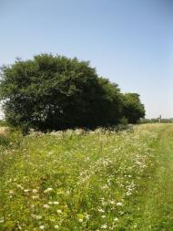 Копачівка Друга з panoramio.com