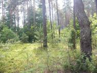 Карпи з panoramio.com