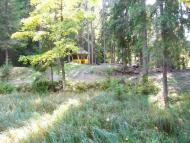 Нижній Яловець з panoramio.com