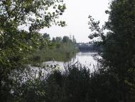 Чернеччина з panoramio.com