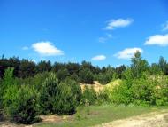 Замостя з panoramio.com