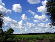 Клин з panoramio.com