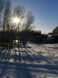 Білики з panoramio.com