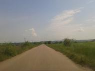 Лугове з panoramio.com