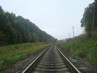 Буйволівці з panoramio.com