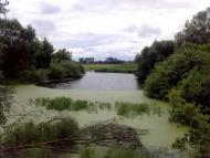 Червоні Партизани з panoramio.com