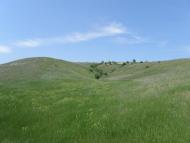 Георгіївка з panoramio.com