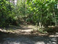 Савенки з panoramio.com