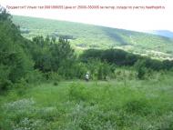 Путилівка з panoramio.com