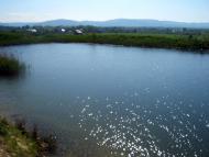 Дережичі з panoramio.com