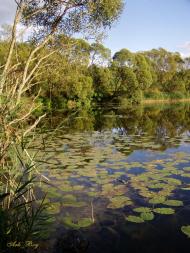 Руська Гута з panoramio.com