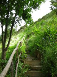 Маріямпіль з panoramio.com