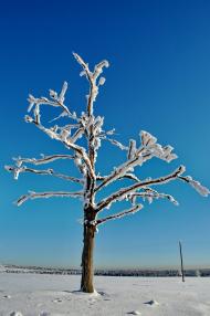 Красне з panoramio.com