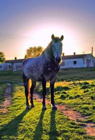 Садове з panoramio.com