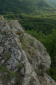 Ворон з panoramio.com