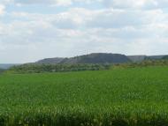 Підгірне - Останні фото