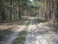 Загрунівка з panoramio.com