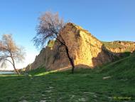 Садове з panoramio.com