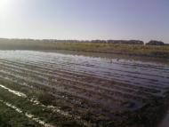 Костянтинівка з panoramio.com