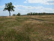 Мале з panoramio.com