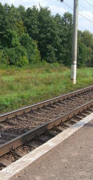 Воля-Любитівська з panoramio.com