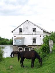 Карпівці з panoramio.com