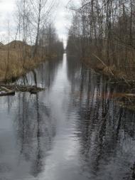 Великі Телковичі з panoramio.com