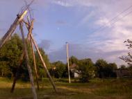 Верба з panoramio.com