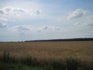 Пашенівка - Останні фото