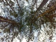 Глинське з panoramio.com