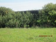 Тихе - Останні фото