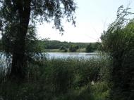 Андріївка з panoramio.com