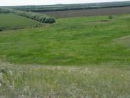 Георгіївка з panoramio.com