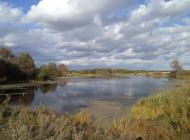 Півнівщина з panoramio.com