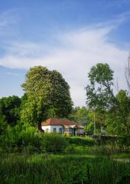 Кобижча з panoramio.com