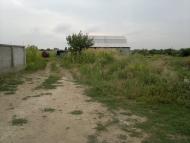 Випасне з panoramio.com