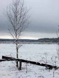 Руська Гута з panoramio.com