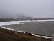 Новоселівка з panoramio.com