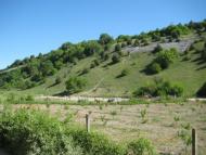 Поляна з panoramio.com